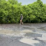 Aditi Sudhir Pohankar Instagram - Yes I did this when I was a lil girl, but I still love puddle jumping! Don’t you’ll love it ??? ( I just have taken my mask off for this shot! Dont forget to wear ur mask when you step out) 📸 @niveditapohankar #fun #reels #reelsinstagram #rain #love #childhoodmemories #puddles #dance #fashion #fashionstyle #ootd #pictureoftheday #photo #aaditipohankar