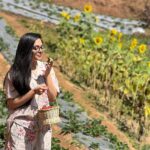 Ahana Kumar Instagram - Plucking (and eating) red , fat , yummy , juicy Strawberries straight from a farm , now off my bucket-list 🍓🤩🥳 #DreamComeTrue #WentInSearchOfThisFarm #ForDreamSake 😋 Strawberry Farm