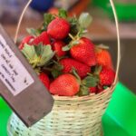 Ahana Kumar Instagram - Plucking (and eating) red , fat , yummy , juicy Strawberries straight from a farm , now off my bucket-list 🍓🤩🥳 #DreamComeTrue #WentInSearchOfThisFarm #ForDreamSake 😋 Strawberry Farm