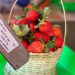 Ahana Kumar Instagram – Plucking (and eating) red , fat , yummy , juicy Strawberries straight from a farm , now off my bucket-list 🍓🤩🥳 #DreamComeTrue #WentInSearchOfThisFarm #ForDreamSake 😋 Strawberry Farm