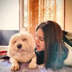 Aksha Pardasany Instagram - Cold, backlit winter morning First he yawns, then she yawns, then they sit still ❤️