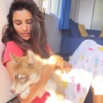 Akshara Gowda Instagram - FLOKI 💫🌟 #aksharagowda #stylishtamizhachi #stylishtamilachi #floki #husky #huskypuppy #dog #dogsofinstagram