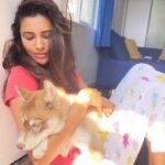 Akshara Gowda Instagram – FLOKI 💫🌟 

#aksharagowda #stylishtamizhachi #stylishtamilachi #floki #husky #huskypuppy #dog #dogsofinstagram