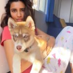 Akshara Gowda Instagram – FLOKI 💫🌟 

#aksharagowda #stylishtamizhachi #stylishtamilachi #floki #husky #huskypuppy #dog #dogsofinstagram