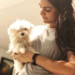 Allu Arjun Instagram - My Dog KAZOKU 家族 . Meaning: Family (in Japanese) . All of us love him ❤️😘