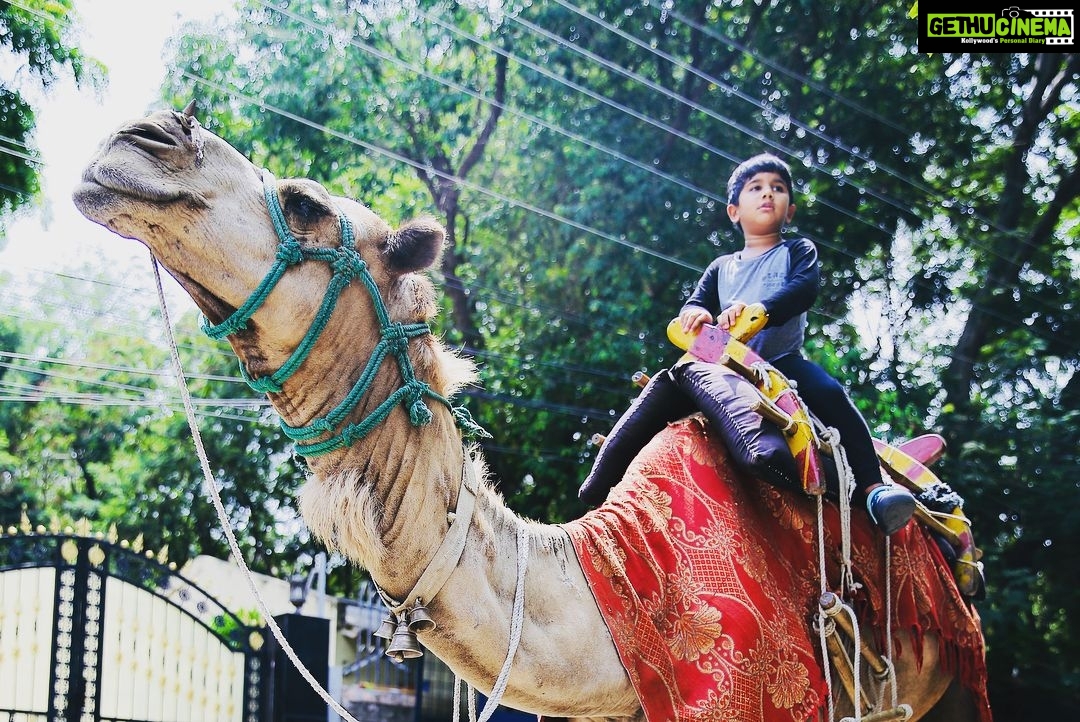 Allu Arjun Instagram - Camel Ride . Animal Lover 😘. When I was a kid the only camel I ever touched was a Geometry Box 😂