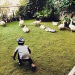 Allu Arjun Instagram – Quack Quack ! Duck Hunter !