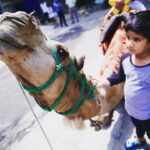 Allu Arjun Instagram - Camel Ride . Animal Lover 😘. When I was a kid the only camel I ever touched was a Geometry Box 😂