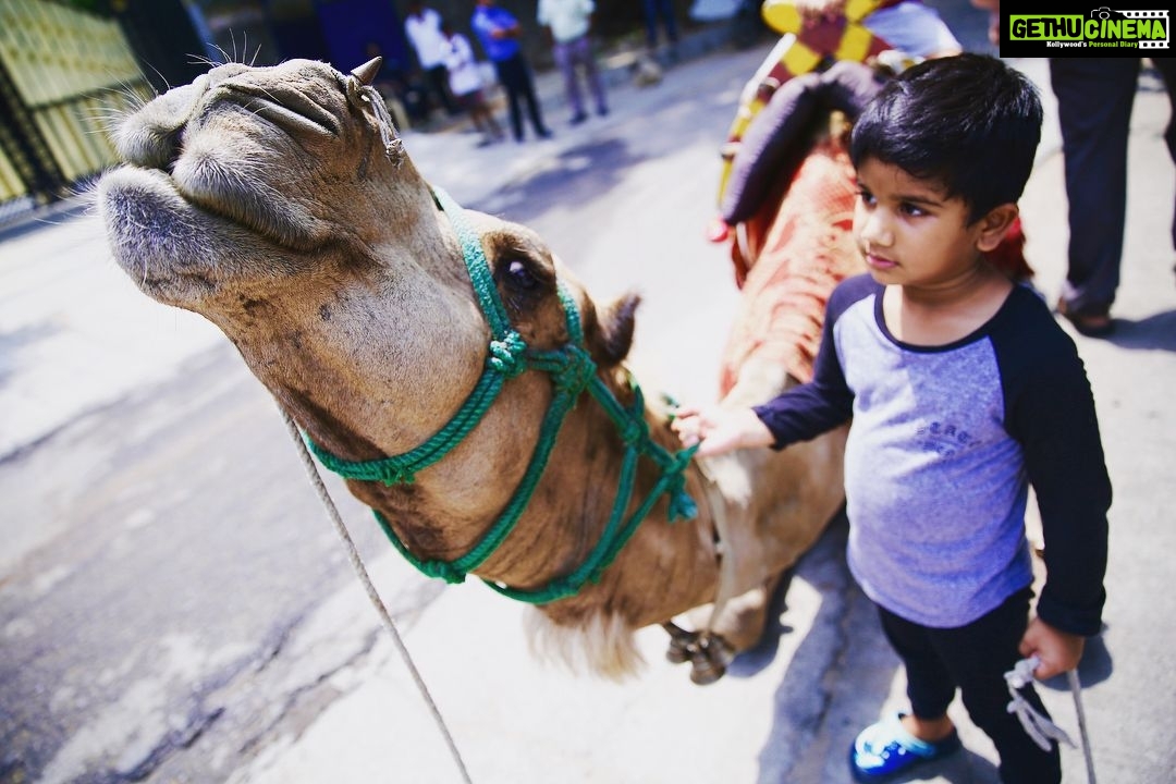 Allu Arjun Instagram - Camel Ride . Animal Lover 😘. When I was a kid the only camel I ever touched was a Geometry Box 😂