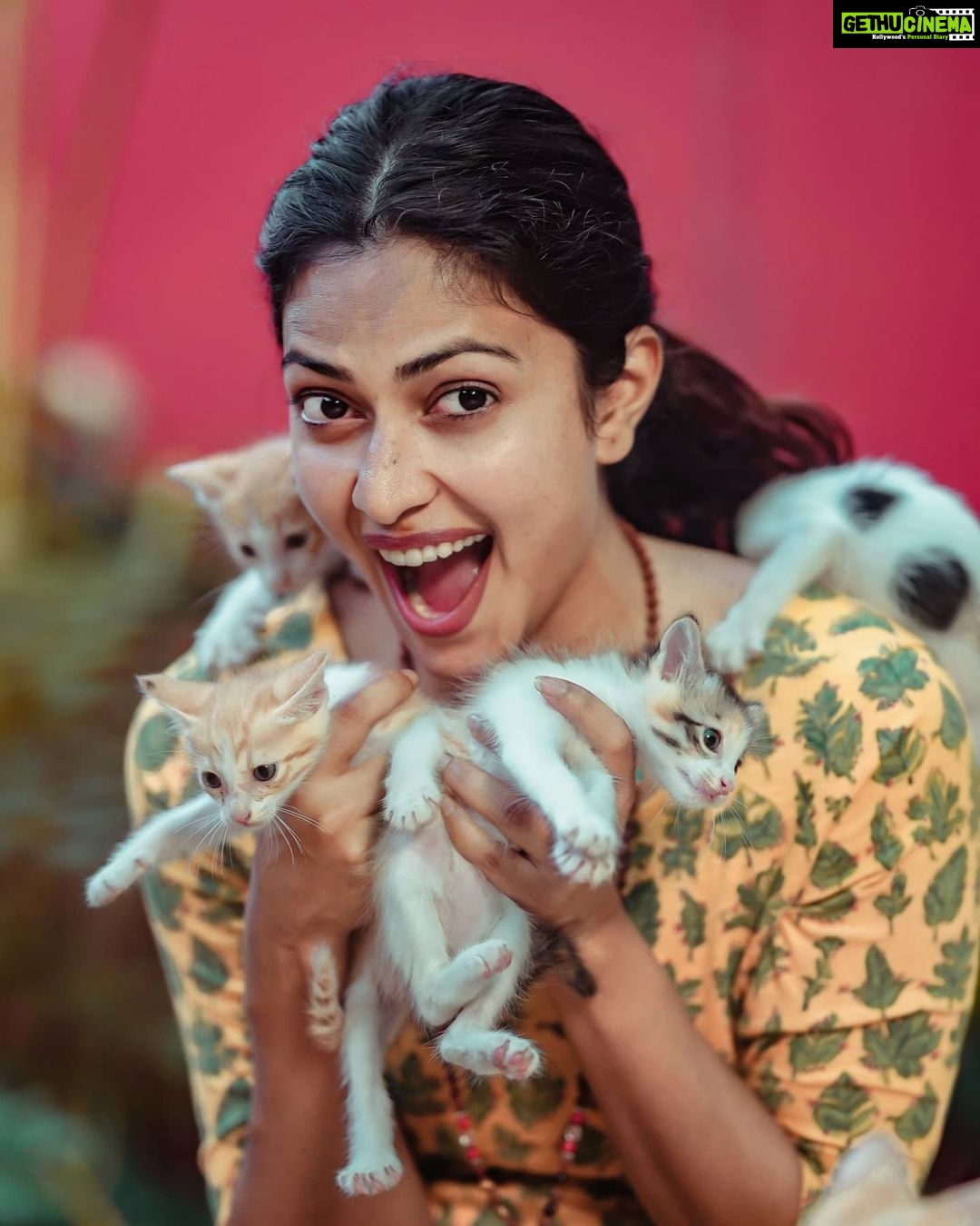 Actress Amala Paul Instagram Photos and Posts January 2021 - Gethu Cinema