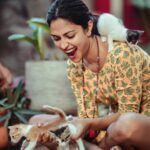 Amala Paul Instagram - Cat me if you can! 🤭 😺 #welcomehomebabies #newlife #catwoman #kitty #meow #therekittykittykitty #catstagram #catlife #greatvibesonly #happyme #deepinnerpeace #soulcare #😺