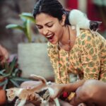 Amala Paul Instagram – Cat me if you can! 🤭 😺

#welcomehomebabies #newlife #catwoman #kitty #meow #therekittykittykitty #catstagram #catlife #greatvibesonly #happyme #deepinnerpeace #soulcare #😺