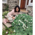 Amala Paul Instagram – How to cuddle with flowers – A photo story by yours truly! 🌸

#flowerpower #mamanature #onewithnature #greenwarrior