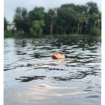 Amala Paul Instagram – The water whispered sweet nothings into my ears! 💕 
#iamcontent #befree #lovers #natureandI #homeland #kerala #roots