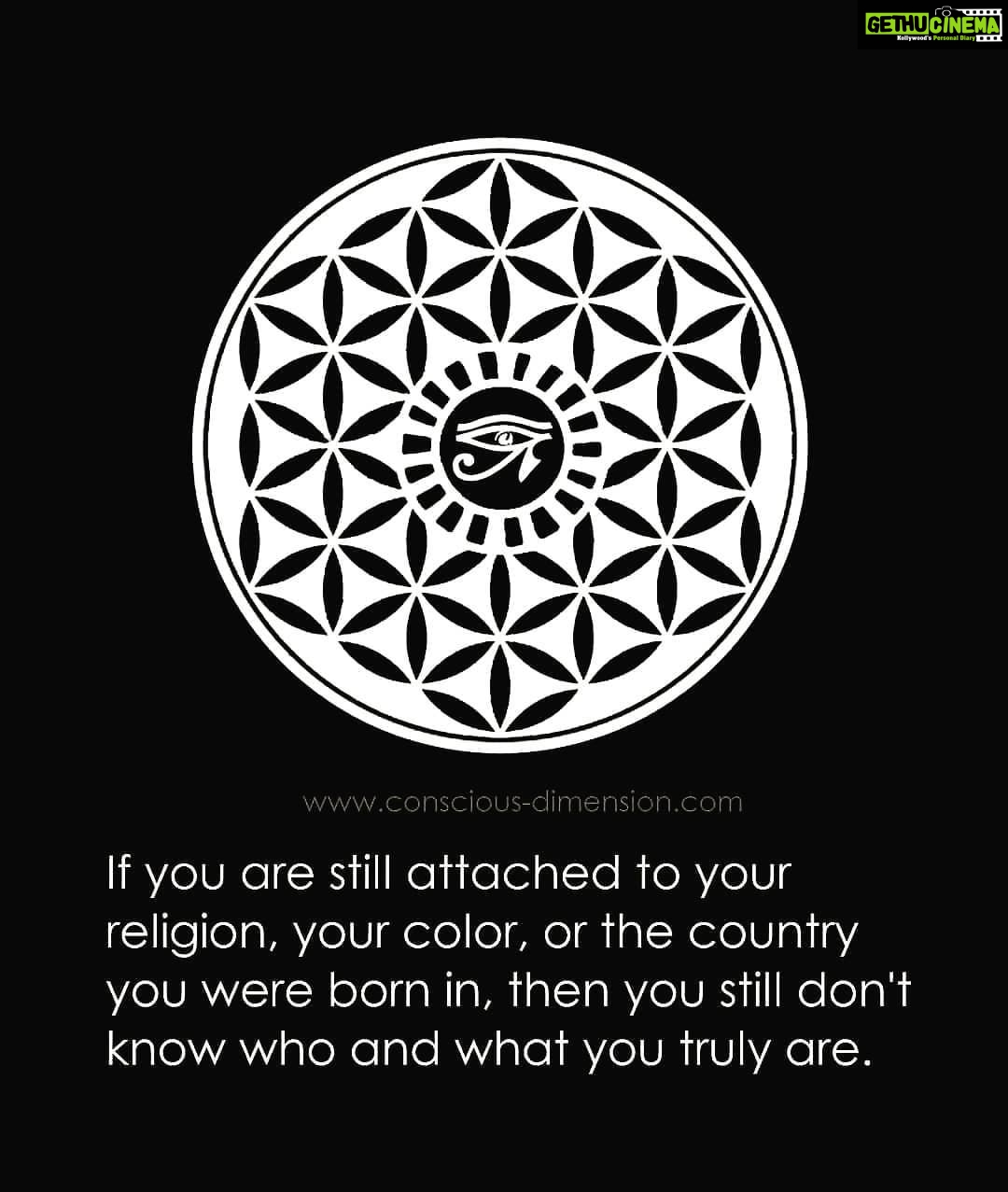 Amala Paul Instagram - 🖤 Reposted from @lovewisdomtruth @LoveWisdomTruth #LoveWisdomTruth .