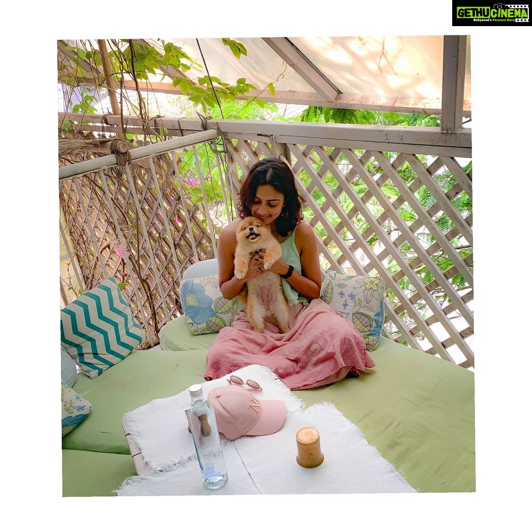 Amala Paul Instagram - If pupper doesn't love you, we can't be friends. 🐶 . . #princessmilliepie #pupsofinstagram #cuteattack #happiness💕
