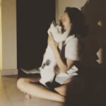 Amala Paul Instagram - I bet, only cat lovers can relate... . Bhagyam maandhu kitteelaa :p . Vc : @viimal #catlover #youonlyknowacatwhenyouhaveacat 🙄 #theydontgiveafuckaboutyou #dontyouagree #butyabruhh #its #unconditionallove #ifyouknowwhatiamtalkingabout #quarantineandchill #lockdownday1