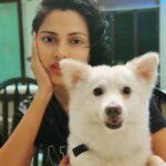 Amala Paul Instagram - 🐶🐶🐶🐶🐶🐶 . . #meetmybabyjake #wintersdaddy #woof #qualitytimetogether #petslikebabies #petsofinstagram #doggo #dogs #dogstagram #dogsofinstagram #goodtimes #AmalaPaul