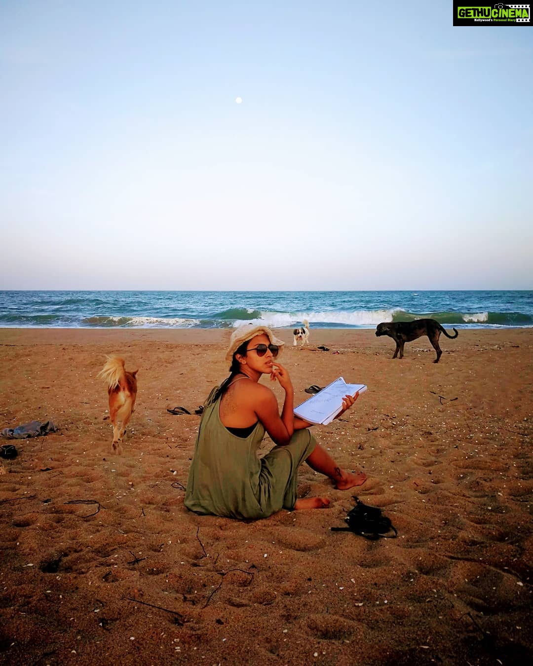 Amala Paul Instagram - You're always at your creative best after you come back from a well-deserved break. To maintain the harmony in life, you need to find a balance between work and leisure. I'm back from my break and ready to take on everything that's destined for me!💯 . . #bigbluesky #myfurbabies #sandinmytoes #scriptinmyhand #pondylife #thisisbliss #gypsysoul #beachbaby #AmalaPaul