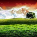 Amala Paul Instagram - Where trees stand tall And greenery overflows with plants big and small; Where the motherland isn't mined aimlessly And the riverbanks ain't looted continuously; Where men, women, boys, and girls Live in harmony with birds and beasts; Into that heaven of freedom my father, Let my country awake! (Inspired by the legendary Rabindranath Tagore's 'Let my country awake') . . #independenceday #india #indian #proudtobeindian #indialove #tricolor #indianindependenceday #AmalaPaul