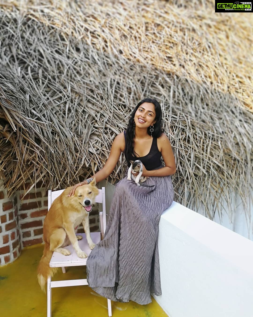 Amala Paul Instagram - Storytime : Most people adopt pets. In my case, my beautiful pets adopted me. While I was at Auroville for a morning run, Nature, my doggie, kept following me. Even when I got into the car and drove off he refused to budge and kept running behind the car. So I stopped the car and opened the door to pet him and whoosh Nature jumped into the car and he's been in my life ever since. As for Blue, my kitty cat, she jumped in front of my car trying to run away from dogs chasing her. She was just one week old when I met her. I had super fun mothering her, feeding her milk from the bottle. She is now two months old and is already a rock star! Moral: We always end up where we're meant to be. π #mypets #petslikebabies #nature #blue #doggo #kittykat