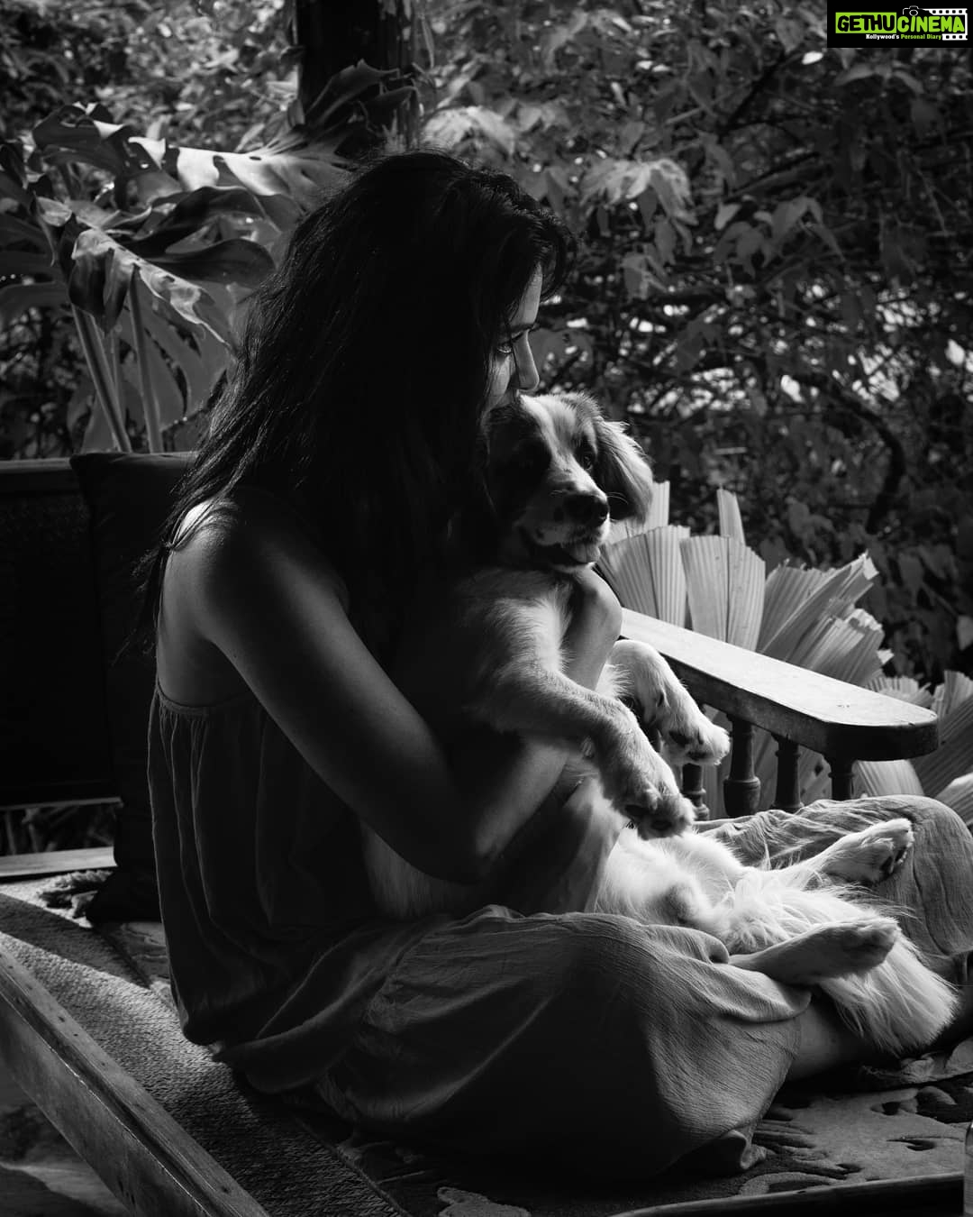 Amala Paul Instagram - 'To be or not to be in love' is a sacred geometry of chance. 💕 . . . #mybabywinter #missyoumybaby #love #greatvibes