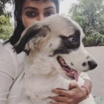 Amala Paul Instagram - In this selfish world, a pupper will teach you how to live a selfless life. 🥰 . . #mybabywinter #missyou #doggo #lovelive