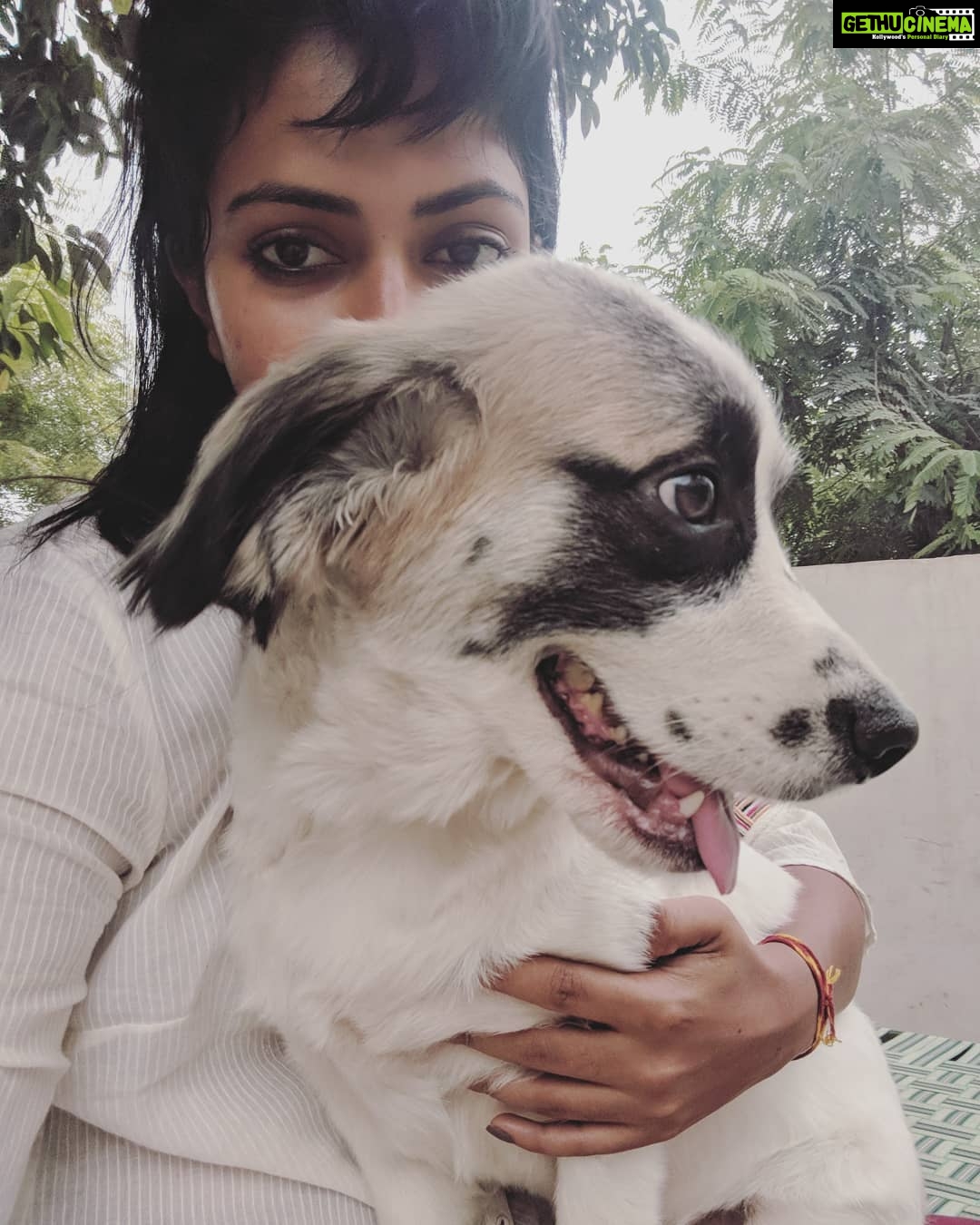 Amala Paul Instagram - In this selfish world, a pupper will teach you how to live a selfless life. 🥰 . . #mybabywinter #missyou #doggo #lovelive