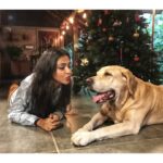 Amala Paul Instagram – I may or may not be cheating on Winter. Spending quality time with my fur baby! #SorryWinter #Waffles 😍