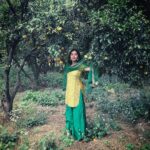 Amala Paul Instagram - Apna Punjab hove, Kinnu di Sharab hove, Makki di roti hove, Sarson da saag hove, Apna Punjab hove! 🍊🍊 Pc : 👳 #winter #punjab #oranges #kinnu #hippiespirit #travelersnotebook Hoshiarpur - The Land of Saints