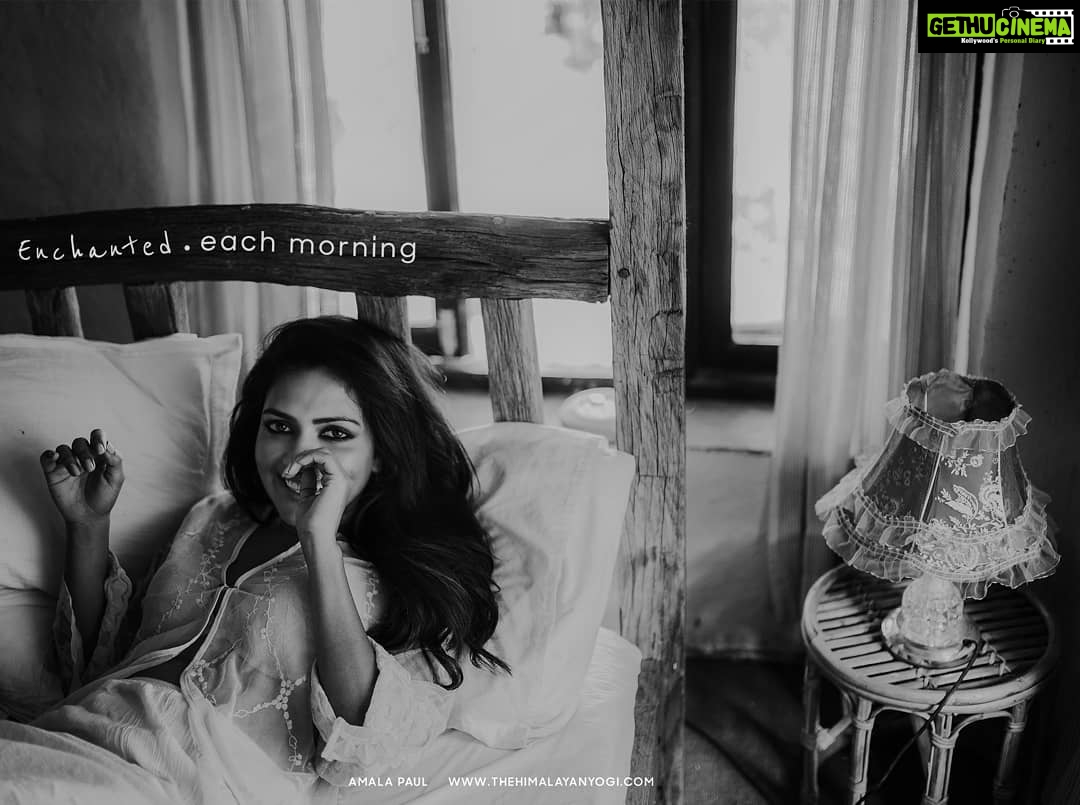 Amala Paul Instagram - Stay enchanted, each morning! by taking Night Recovery, ritually, get attuned to your biological clock ‘Circadian Rythm’ in a week’s time. For a mindful, conscious and pleasant life!! To know more, click link in bio, www.thehimalayanyogi.com/ Thank you for yesterday’s overwhelming response and appreciation mails. Feeling Blessed on Guru Purnima!! #nightrecovery #gurupurnima #thehimalayanyogi #pureayurveda #yoga #yogilife