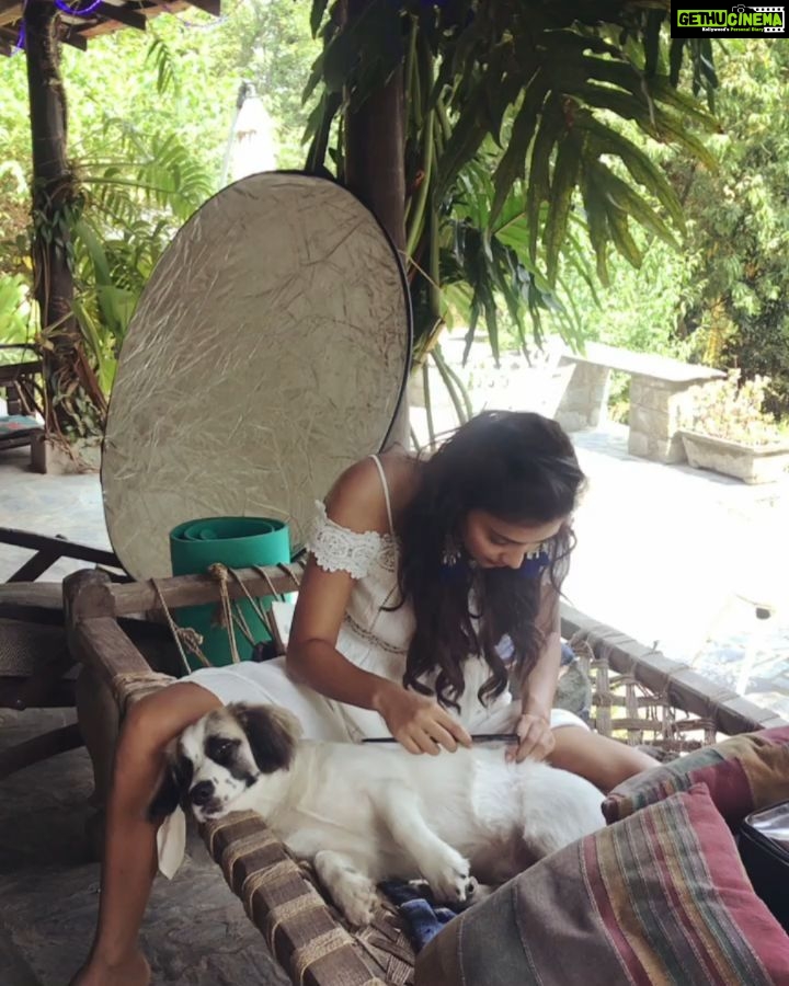 Amala Paul Instagram - Shooting with a phone addict 🙄🤪 #Repost @imtiyazkhane24 (@get_repost) ・・・ Shooting in the mountain with the mountain girl and Winter 🌹🌈 @amalapaul #amalapaul #work #shootmode #makeup #hairstylist #himalayas #funtimes #cutevideos #petsofinstagram #pets #winter #love Mirage Yoga