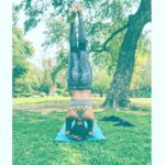 Amala Paul Instagram - 🕉️ #yoga #ashtangha #headstand #sheershasana #sunday