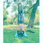 Amala Paul Instagram – 🕉️ #yoga #ashtangha #headstand #sheershasana #sunday