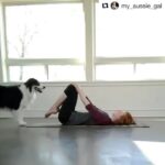 Amala Paul Instagram - What a wonderful world! @my_aussie_gal ・・・ Practicing a new Doga position!😊❤ I've always wanted to try this but I wasn't sure she could do it, she really surprised me! This takes so much coordination, we really need to work together in order to balance! It's amazing how deeply we can communicate with our dogs when we teach them positively, you just can't force trust😃💖 ~~~~~~~~~~~~~~~~~~~~~~ Follow my Pawtners @marvelous_marble_ @bluebearaussie