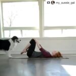 Amala Paul Instagram – What a wonderful world!

@my_aussie_gal ・・・
Practicing a new Doga position!😊❤ I’ve always wanted to try this but I wasn’t sure she could do it, she really surprised me! This takes so much coordination, we really need to work together in order to balance! It’s amazing how deeply we can communicate with our dogs when we teach them positively, you just can’t force trust😃💖
~~~~~~~~~~~~~~~~~~~~~~
Follow my Pawtners
@marvelous_marble_
@bluebearaussie