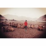 Amala Paul Instagram - Oh The Places We Can Go...🌙 #nubravalley #camping #onewiththenature #wildheart #freespirit #backpack #sunsetsky #himalayas #ladhakdiaries #throwback