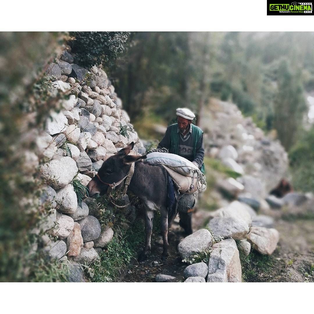 Amala Paul Instagram - Thurthuk is a Muslim village on India-Pak border with some magnificent views ever and ancient culture. The journey to Thurthuk was crazy and imbued a gallery of speechless beauty with stark and barren roads, marred by landslides and shooting stones. With white landscapes, craggy mountains and super narrow passes overlooking the turquoise waters of the Shyok river (urdu: literal meaning "The River of Death") scary right? But in me, it instilled a sense of life, I was after all going off the map to one of the remotest part of my country in early winter. #LadakhDiaries #Wanderlust #RealAdventure #Scenic #TheRoadLessTravelled