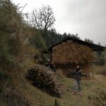 Amala Paul Instagram – The joy of seeing some snow flakes and some drizzle, falling on the ground and becoming what the learned say, a ‘Glaze”!!
❄️☔️ #himalayas #trekdiaries #snowflakes #somanyterms