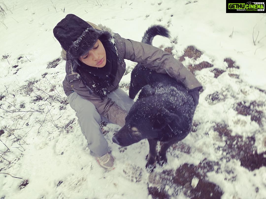 Amala Paul Instagram - Meet Tinder from Tinder! he showed us the path to the snowy fields. How i wish i can share what was this path and these peaks, but all I have to share with you today is Tinder himself, the man of the valley, the rescuer of amateur trekkers and torch bearer for the magnificient tinder valley. In the picture from left to right Amateur trekker Amala Paul and Tinder, the guardian of tinder valley. #himalayas #hippieheart #gypsysoul #snowtrekking #10kfeetup #moutaindog #dreamcatcher #naturelovers