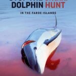 Amy Jackson Instagram - ⚠️GRAPHIC IMAGES WARNING, PLEASE SHARE AND SIGN THE PETITION IN THE BIO TO STOP THIS ANIMAL CRUELTY!⚠️ @karmagawa : We’re saddened to post this disturbing footage of 1,400+ dolphins being killed last week on the shores of the Faroe Islands, but people must be made aware of what’s happening here! Watch at your own risk….there are no words, just utter heartbreak. But there is some hope: The prime minister of the Faroe Islands said this week for the first time that the government will evaluate regulations around catching white-sided dolphins following so much public outcry SO WE MUST KEEP THE PRESSURE ON AND STOP CRUELTY THIS ONCE AND FOR ALL! You can help right now by sharing this post with your followers, tagging people celebrities, influencers and news media who need to see this/share too and signing the petition linked in the @karmagawa and @savethereef bios! Just in the last 48 hours over 130,000 people have signed and taken action to stop these barbaric dolphin hunts — let’s get to 200,000+ and work together to speak up as loudly as possible for the safety of these innocent creatures! Please use your social media platform for good, share and sign the petition now and help us put an end to this madness! Thanks to @sealegacy @seashepherd @paulnicklen @mitty @shawnheinrichs #endanimalcruelty #stopanimalcruelty #stopthekilling #savethedolphins #karmagawa