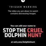 Amy Jackson Instagram - ⚠️GRAPHIC IMAGES WARNING, PLEASE SHARE AND SIGN THE PETITION IN THE BIO TO STOP THIS ANIMAL CRUELTY!⚠️ @karmagawa : We’re saddened to post this disturbing footage of 1,400+ dolphins being killed last week on the shores of the Faroe Islands, but people must be made aware of what’s happening here! Watch at your own risk….there are no words, just utter heartbreak. But there is some hope: The prime minister of the Faroe Islands said this week for the first time that the government will evaluate regulations around catching white-sided dolphins following so much public outcry SO WE MUST KEEP THE PRESSURE ON AND STOP CRUELTY THIS ONCE AND FOR ALL! You can help right now by sharing this post with your followers, tagging people celebrities, influencers and news media who need to see this/share too and signing the petition linked in the @karmagawa and @savethereef bios! Just in the last 48 hours over 130,000 people have signed and taken action to stop these barbaric dolphin hunts — let’s get to 200,000+ and work together to speak up as loudly as possible for the safety of these innocent creatures! Please use your social media platform for good, share and sign the petition now and help us put an end to this madness! Thanks to @sealegacy @seashepherd @paulnicklen @mitty @shawnheinrichs #endanimalcruelty #stopanimalcruelty #stopthekilling #savethedolphins #karmagawa