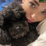Amy Jackson Instagram - The bits and bobs which made that weird little week between Christmas and New Year a goodun ✨