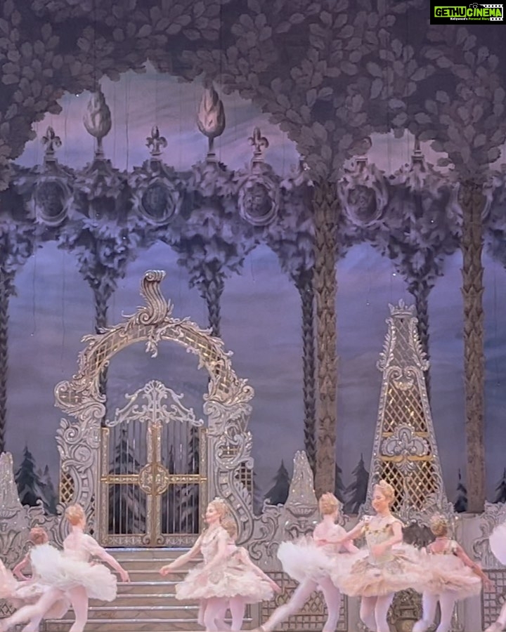 Amy Jackson Instagram - Christmas has officially arrived. Thankyou to my @carolinaherrera family for the most magical evening at the Nutcracker ππΌβ¨ the perfect ending to the year! @rebeccaspencer_photography πΈ Royal Opera House