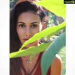 Amyra Dastur Instagram – “In a cool #solitude of #trees where #leaves and #birds a #music spin,
Mind that was weary at ease,
New #rhythms in the #soul #begin …” – #WlliamKeanSeymour Lonavala Khandala Maharashtra