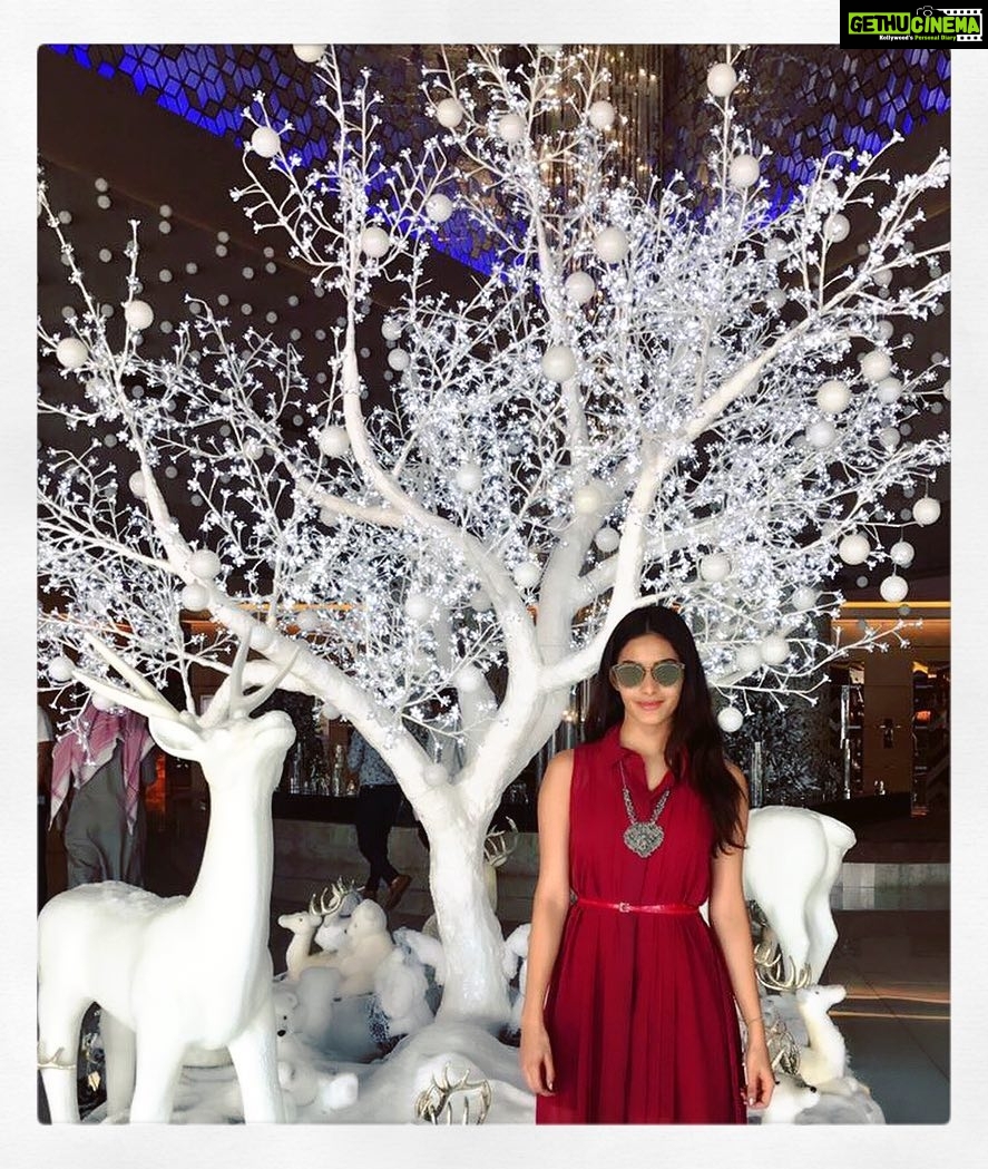 Amyra Dastur Instagram - Can't Wait For The #TCL to begin 14thDec @sharjah_cricket_stadium 😍I'm here #mydubai #PowerSupport @marathaarabians 😄 All The Best @parvezkhan35 @sohailkhanofficial #AliTumbi @wasimakramlive @virendersehwag @samashs #TheRideBegins💃🙌 #aalareaala Fairmont Dubai