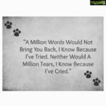 Amyra Dastur Instagram – 🙏🏼♥️🐈♥️🙏🏼