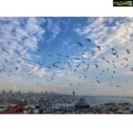 Amyra Dastur Instagram – 🎶🎼 Birds flying high, You know how I feel.
Sun in the sky, you know how I feel.
Breeze drifting on by, you know how I feel….. It’s a new dawn, It’s a new Day ….. 🎼🎶
.
.
.
#onset #jeekarrdaa #newsingle #istanbul #turkey #wanderlust #travelphotography #traveldiaries #blessed 🙏🏻 Istanbul, Turkey