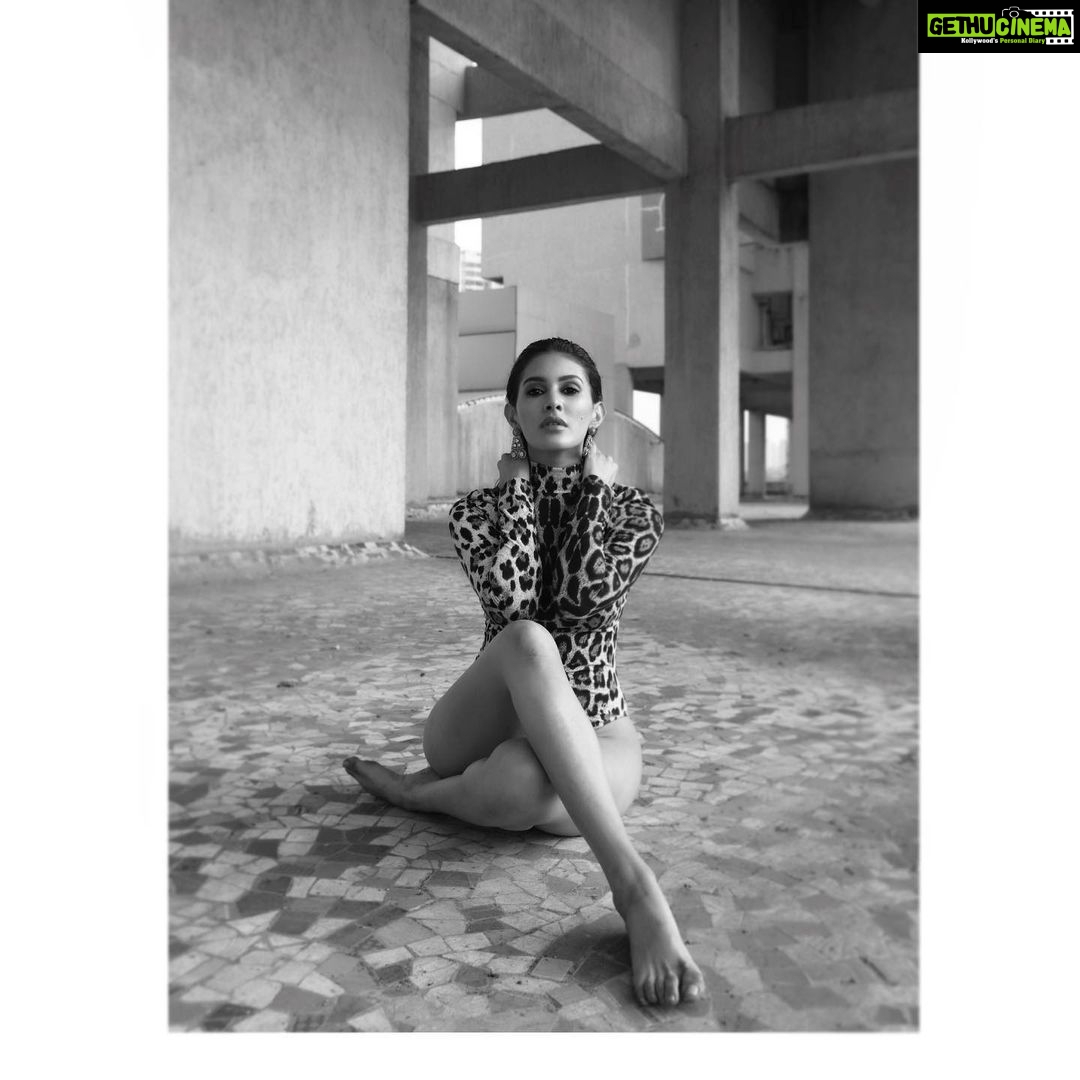Amyra Dastur Instagram - Wild Cat. . . 📸 @madetart 👄💄 @___lemii___ @makeupnhairbyankita ✨ 👗👑 @artcantbebothered Mumbai, Maharashtra