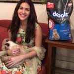 Amyra Dastur Instagram - @droolsindia Wish you and your family a very Happy Diwali. Let’s be responsible this festive season and think about our Furry Friends 🐶🐱. This Diwali, #itsapromise to gift our pets and the homeless pawed friends a joyous and safe Diwali by not bursting firecrackers. 😻🐶 Make a promise with us and show that you care! Spread the message and do your bit. Share it on your story and tag @droolsindia or you can even repost it! Use the hashtag #itsapromise ♥️ . Drools is doing their bit by working with pet welfare associations. Check out @droolsindia to find out more! . . #drools #feedrealfeedclean #itsapromise #dogfood #PetCare #Pets #FurryFriends #diwaligifts #diwali Mumbai, Maharashtra